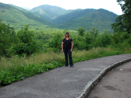 the smokey mountains in the back ground