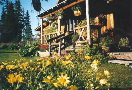 Our Shack in Summer