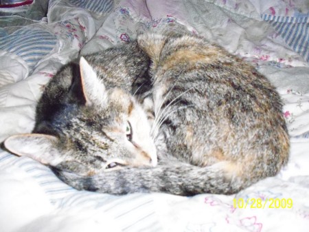 Robin is gone now.  She was 15.