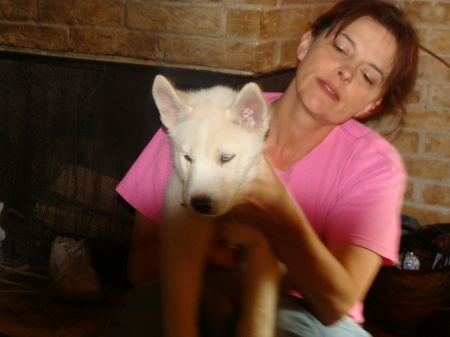 White Siberian Husky