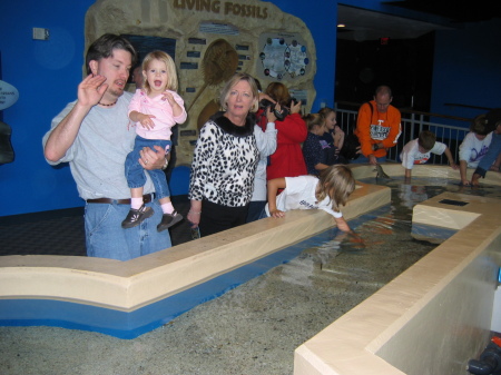 the aquarium in Gatlinburg