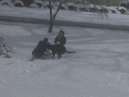 THOMAS, FAYTH AND TRAMP BUILDING A SNOWMAN