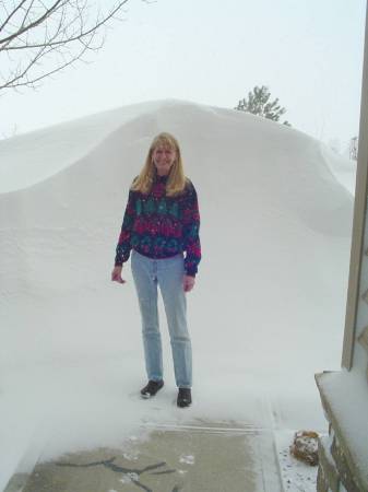 Our front yard Colorado drift dwarfs Janet