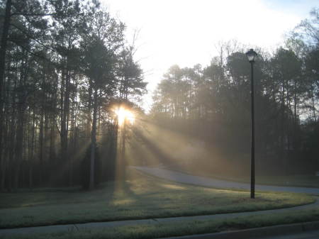 Awesome morning light in my neighborhood