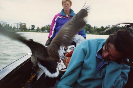 Boating with Imprinted Geese 1991