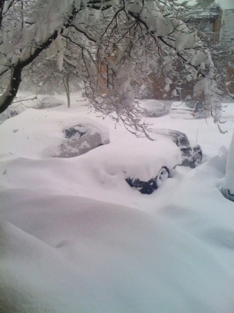 The D.C. Blizzard of 2010