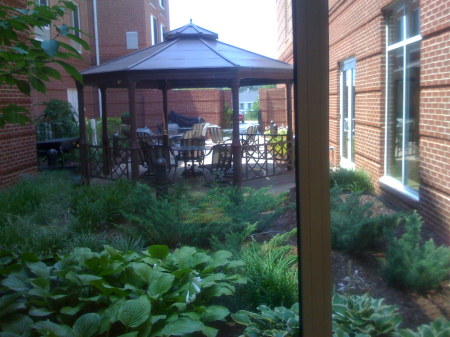 courtyard view from Topaz room