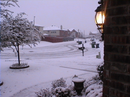 Snow in January 2010