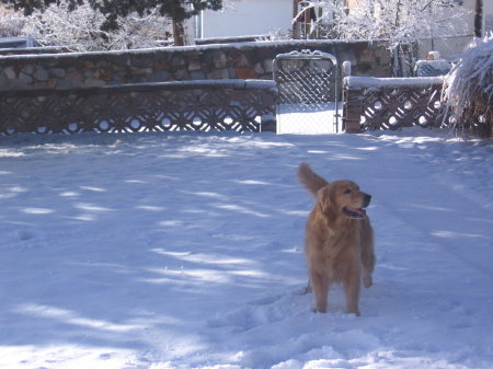 Lucy in the Snow
