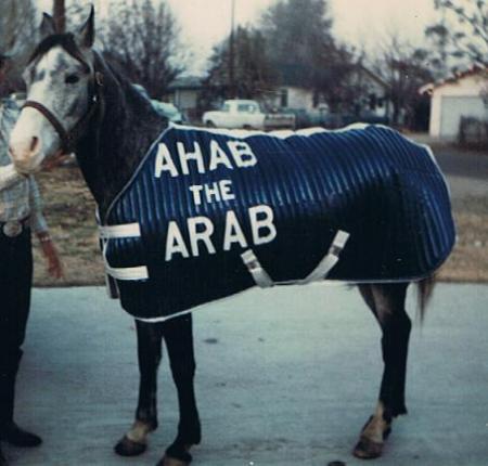 Ahab the Arab.