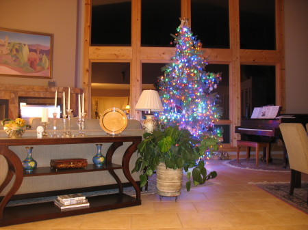 Christmas Tree '09