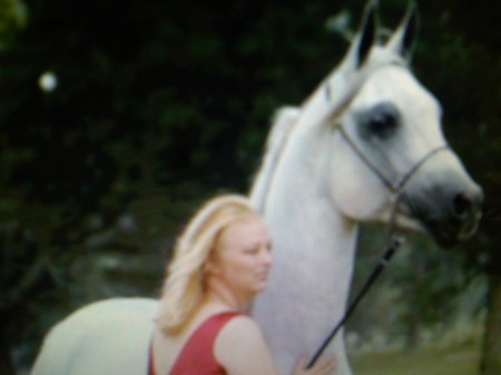 me and my stallion