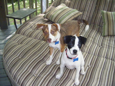 Penny and Dot on the Lounger age 5 months