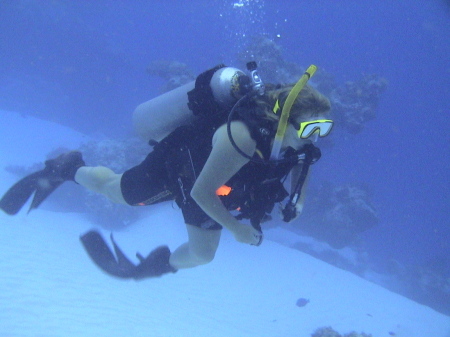 me scuba diving in mexico