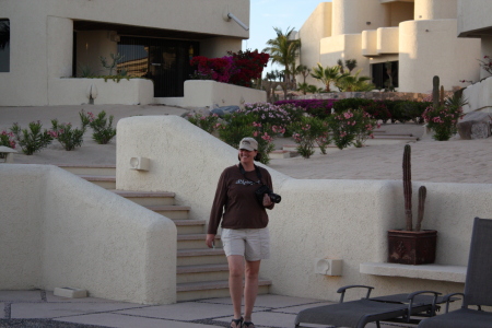 Cyn, our Cabo retreat