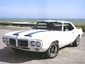 my dream car 69 Firebird