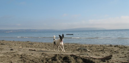 stanly on the beach