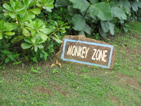 Monkey Zone!