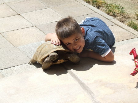 The boy & his Tortoise
