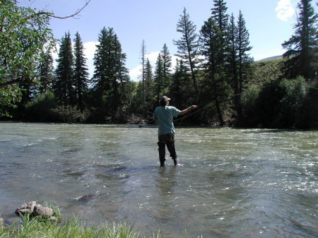 Fly fishing, stoned, in Colorado