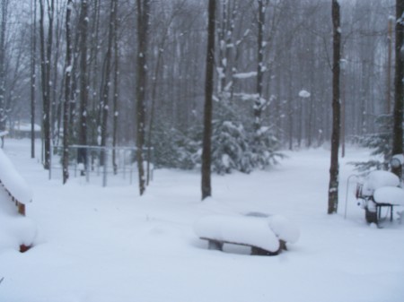 Winter in Northeastern Ohio
