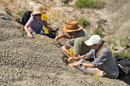 This Summer's dig in North Dakota