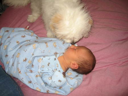 Riley and Lola nose to nose!!