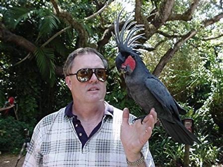 Rare Black Palm Cockatoo