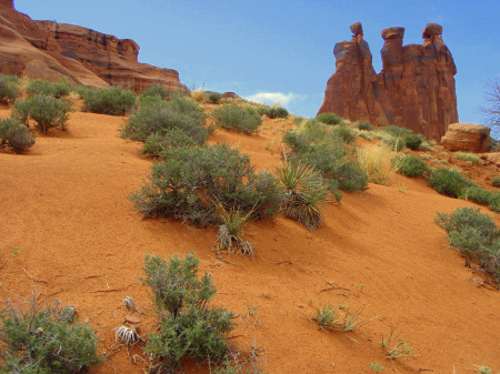 The Three Gossips, Arches N.P.