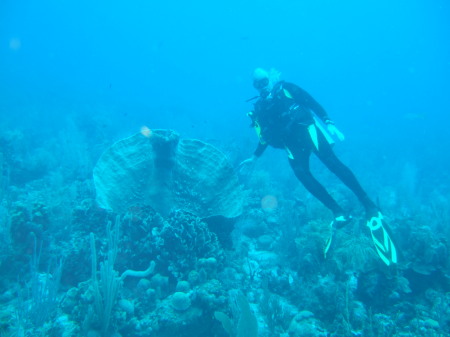 C.L. diving in Roatan