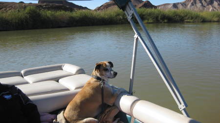 Maizey loves the boat 1.22.10
