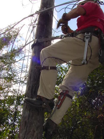 Pole Vlimbing for the Phone Company 2000