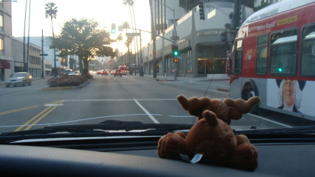 Dash in Hollywood, CA