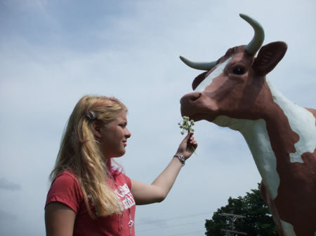 Rockford - C Feeding Giant Cow