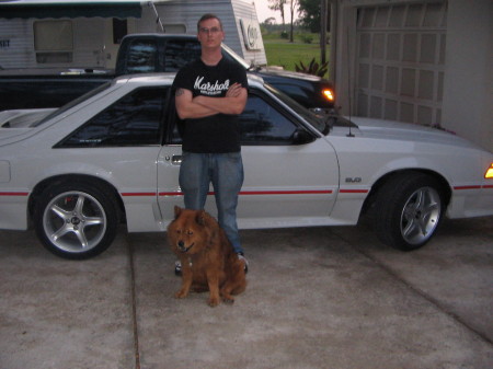 My son, My dog and My car