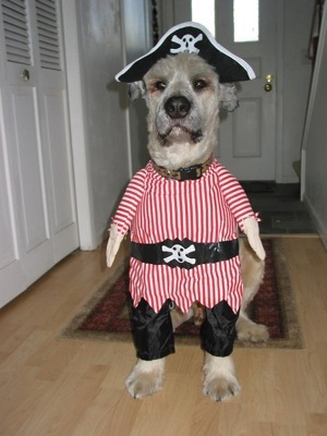 Ahoy there, matey!!