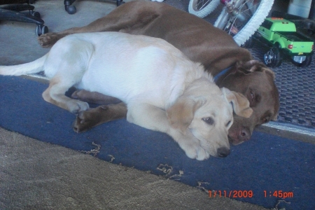 coco & aly in the garage