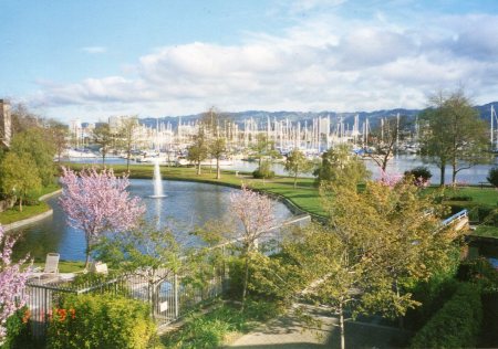 View from my Home in Marina Village Alameda