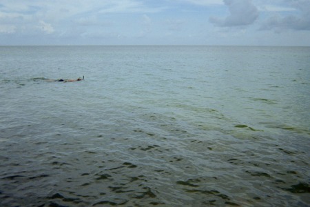 Gregory Snorkeling in the FL Keys