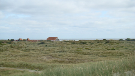 Looking inland at the island of Vlieland