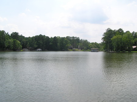 VIEW FROM THE DOCK