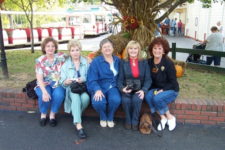 dollywood friends