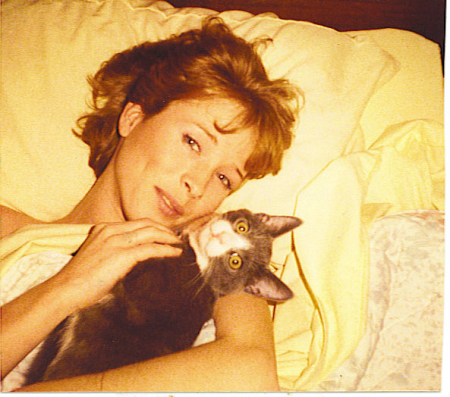 bev+cat