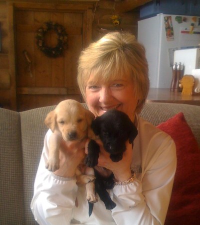 Nancy and Lab Puppies