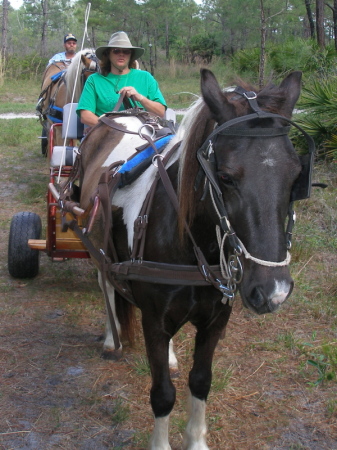 me and my pony molly