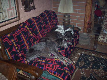 the grey girls on the sofa