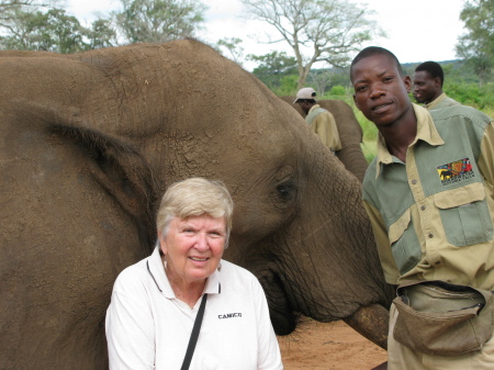 barb & elephant