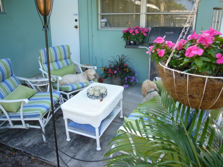 Love my back patio in Florida 2009