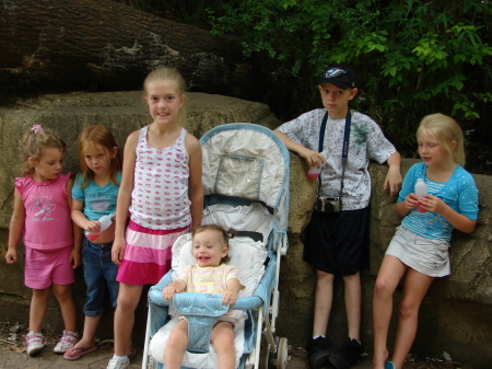 kids at zoo