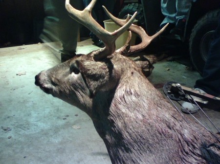 2008 deer season